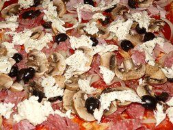 pizza with mushrooms and olive