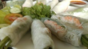 spring rolls as asian food