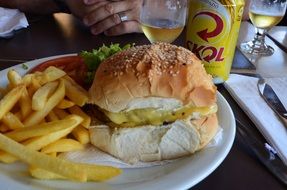 hamburger and french fries on a plate