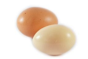 Two eggs, brown and white