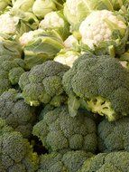 broccoli and cauliflower