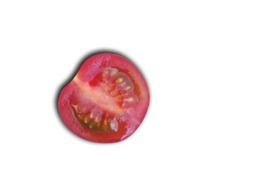 sliced tomato on white background