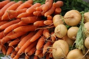 turnips and carrots for sale
