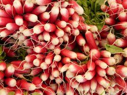 bunches of radishes filled with vitamins