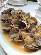 Opened clams on plate in the restaurant