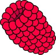 Fresh raspberry clipart