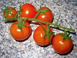 red cherry tomatoes on branch