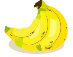 yellow bananas drawing