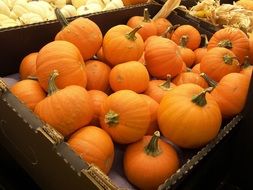 many bright orange pumpkins in a big box