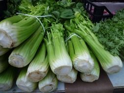 celery on the market stall