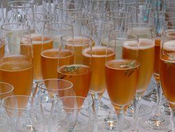 champagne glasses for banquet