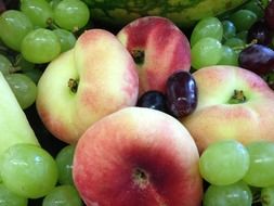 Vineyard peaches,green and blue grapes