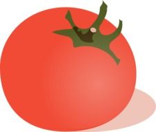 red fresh tomato drawing