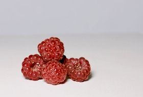 delicious raspberries