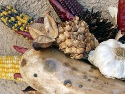 decoration of corn, cotton boll, garlic