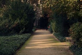 Walkway in the green park