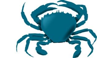 bluecrab drawing