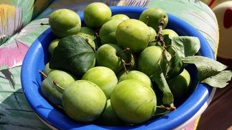 fruit in a bowl