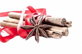 cinnamon sticks tied with a red bow