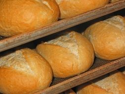 fresh white loaves in a bakery