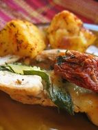 chicken with mozzarella and dry tomatoes