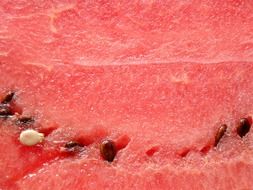 closeup photo of the red watermelon