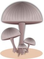 grey mushroom as a drawing