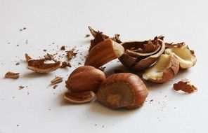 Crashed hazelnuts