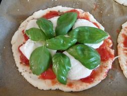 Italian pizza with mozzarella