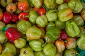hot green and red peppers close-up