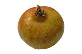 useful pomegranate punica granatum fruit