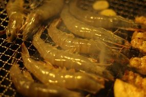 shrimp cooking on the grill