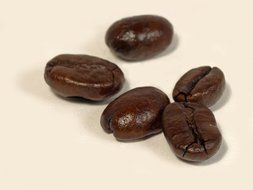 Brown shiny coffee beans on the white surface