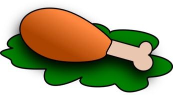 turkey drumstick on a green leaf