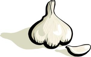 black and white graphic image of garlic