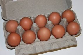 carton tray with ten eggs