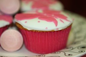 muffins, pink cupcakes on plate