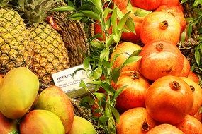 pineapple, mango and grapefruit