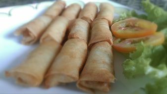 spring rolls on a white plate