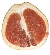 grapefruit slice