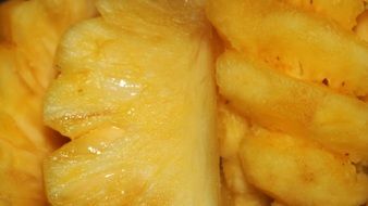 Fresh pineapple fruit