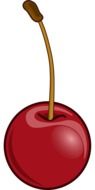 painted cherry berry on a white background