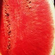 red watermelon in the summer