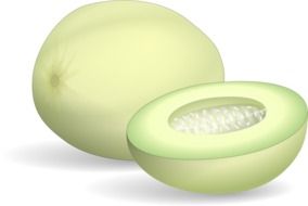 clipart of the honeydew melon