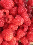 sweet raspberries for healthy dessert