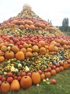 colorful pumpkin pyramid