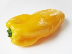 yellow bell pepper on a white background