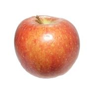 sweet apple in the light