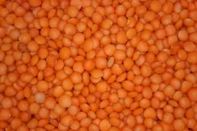 Red lentils in a box