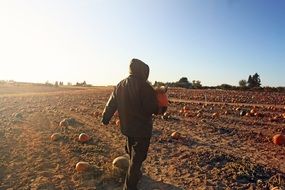 man and pumpkin